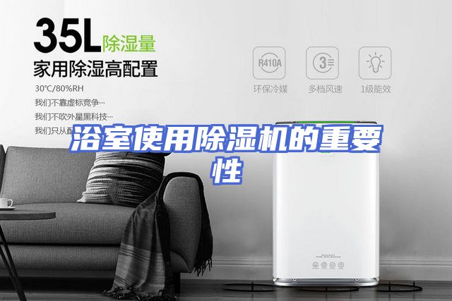 浴室使用除湿机的重要性