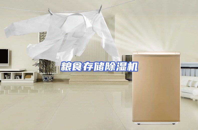 粮食存储除湿机
