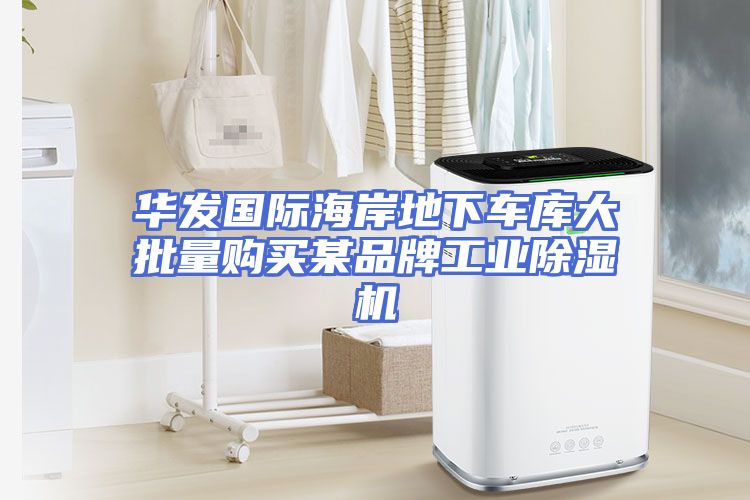 华发国际海岸地下车库大批量购买某品牌工业除湿机