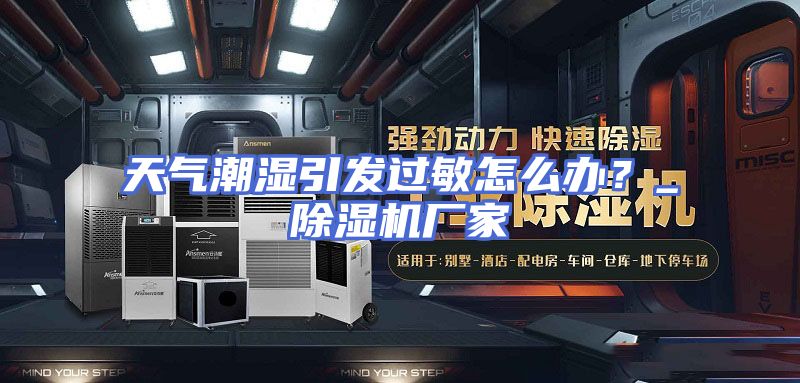 天气潮湿引发过敏怎么办？_除湿机厂家