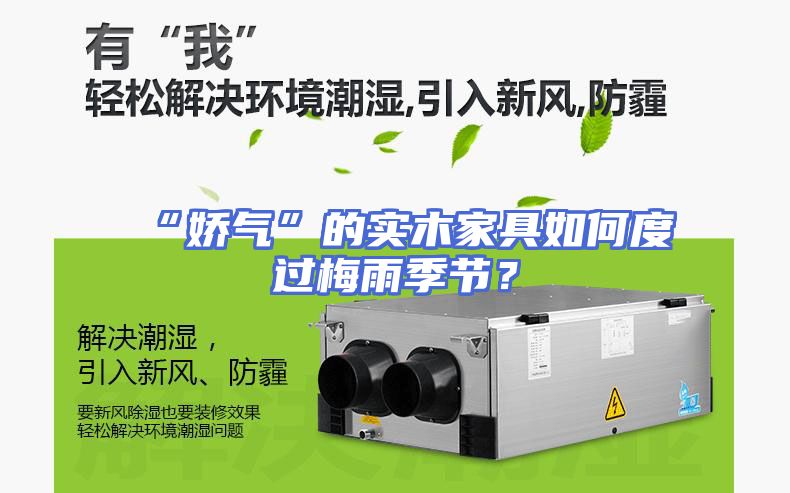 “娇气”的实木家具如何度过梅雨季节？