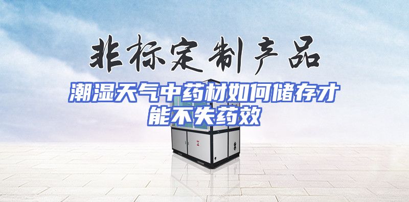 潮湿天气中药材如何储存才能不失药效