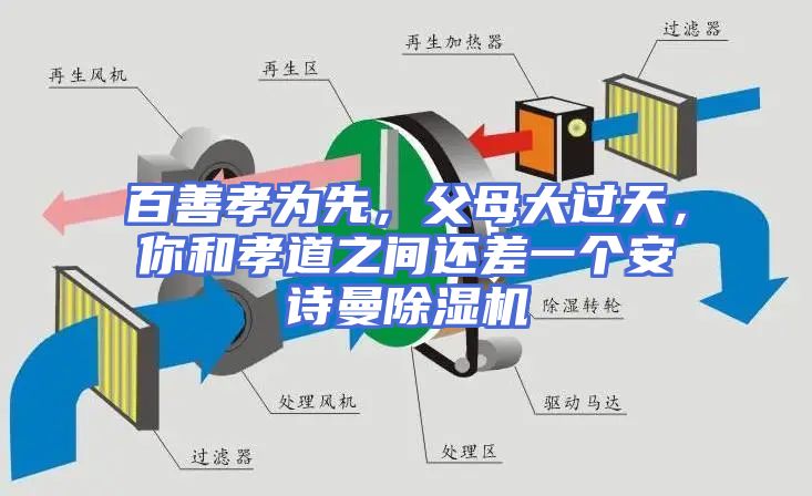 百善孝为先，父母大过天，你和孝道之间还差一个安诗曼除湿机