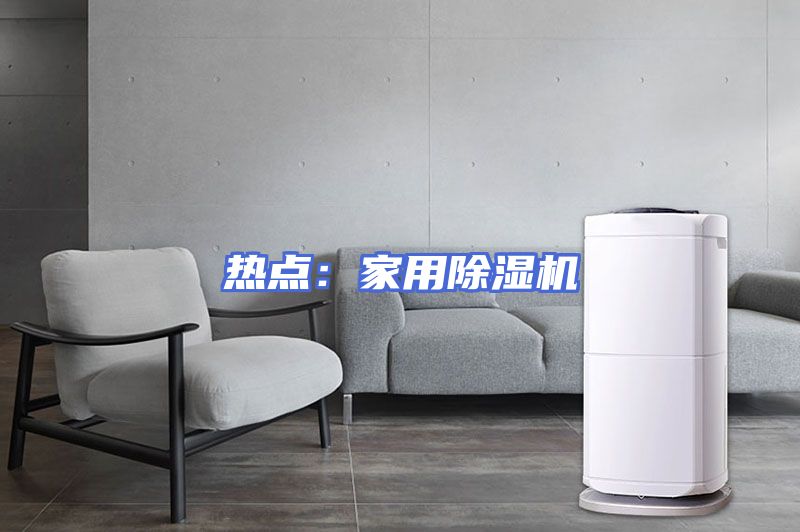 热点：家用除湿机