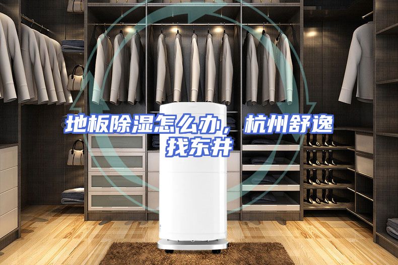 地板除湿怎么办，杭州舒逸找东井