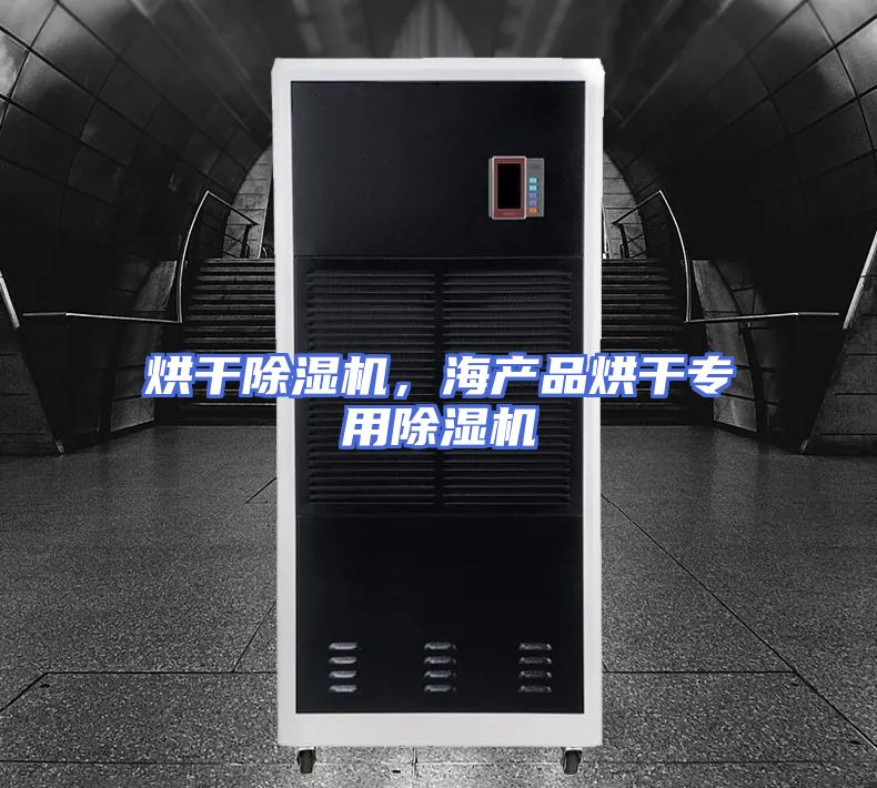 烘干除湿机,海产品烘干专用除湿机