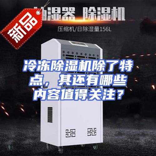 冷冻除湿机除了特点，其还有哪些内容值得关注？