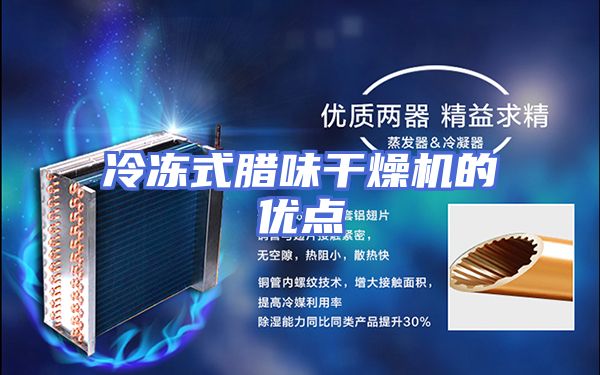冷冻式腊味干燥机的优点