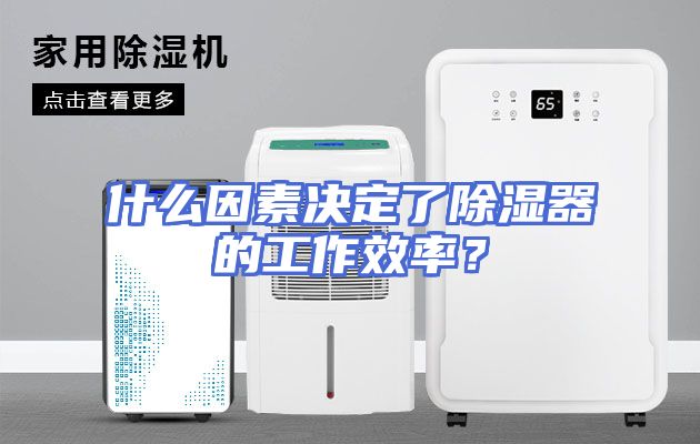 什么因素决定了除湿器的工作效率？