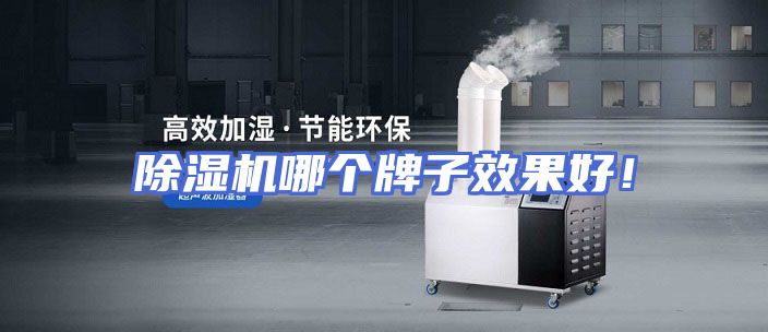 除湿机哪个牌子效果好！