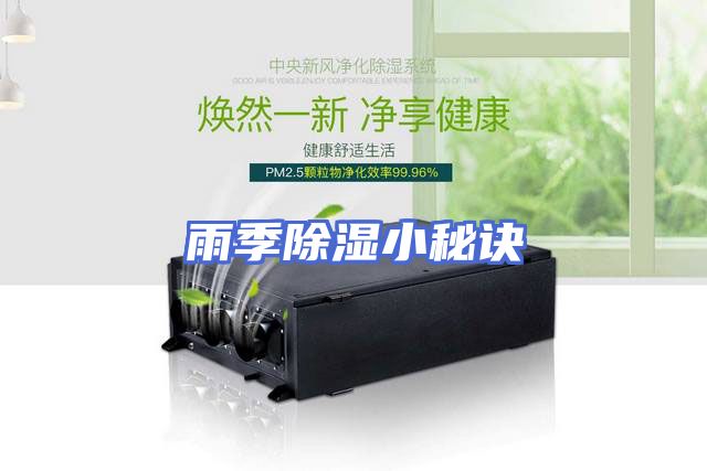 雨季除湿小秘诀