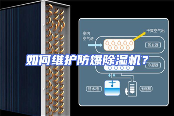 如何维护防爆除湿机？
