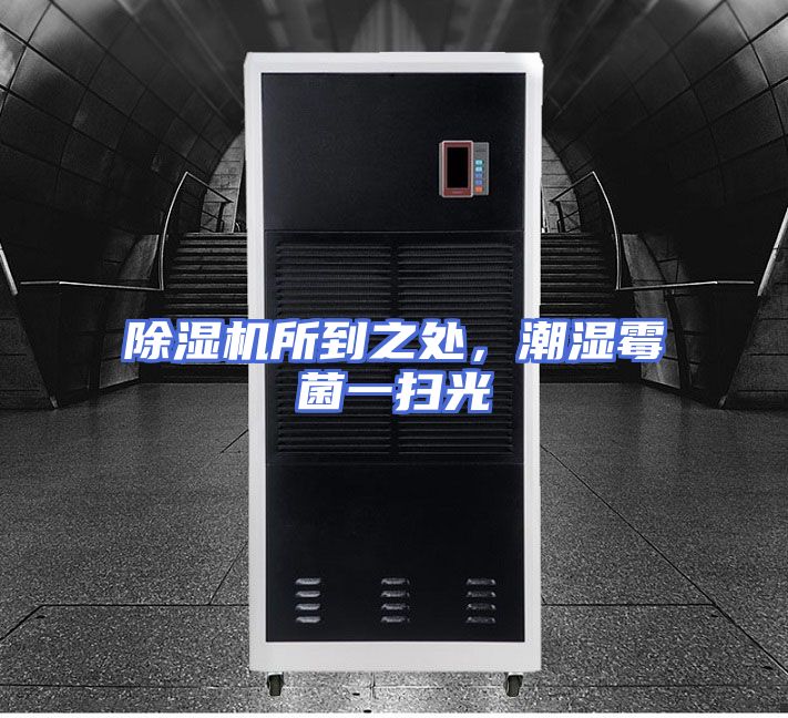 除湿机所到之处，潮湿霉菌一扫光