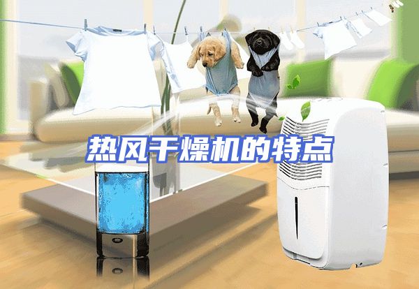 热风干燥机的特点