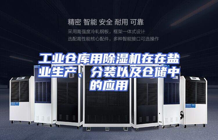 工业仓库用除湿机在在盐业生产、分装以及仓储中的应用