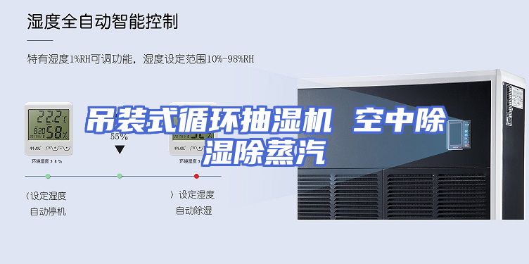 吊装式循环抽湿机 空中除湿除蒸汽