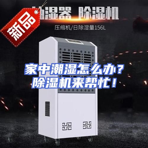 家中潮湿怎么办？除湿机来帮忙！