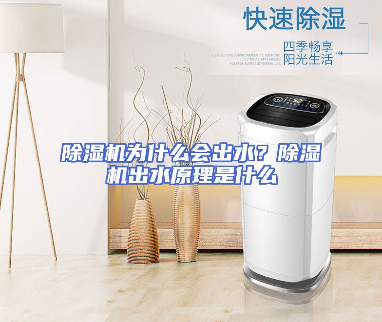 除湿机为什么会出水？除湿机出水原理是什么