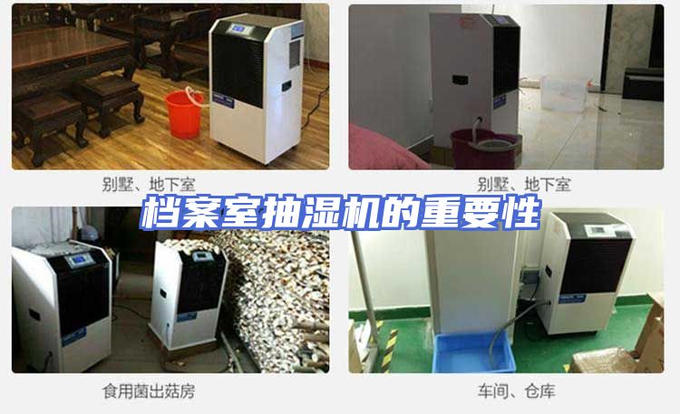 档案室抽湿机的重要性