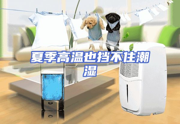 夏季高温也挡不住潮湿
