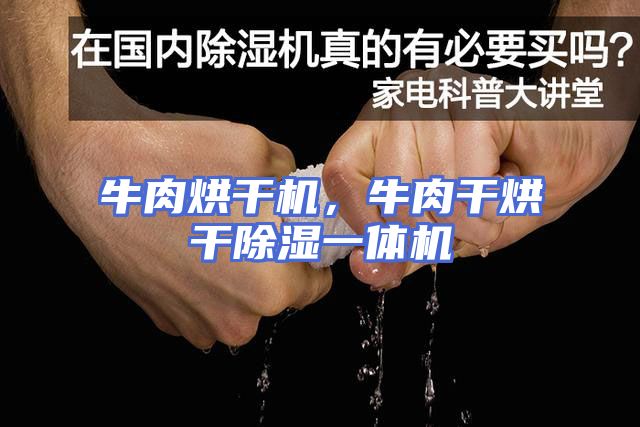 牛肉烘干机，牛肉干烘干除湿一体机