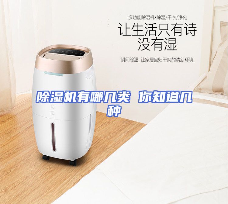 除湿机有哪几类 你知道几种