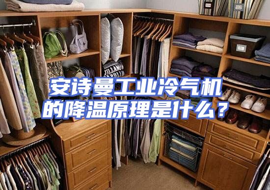 安诗曼工业冷气机的降温原理是什么？
