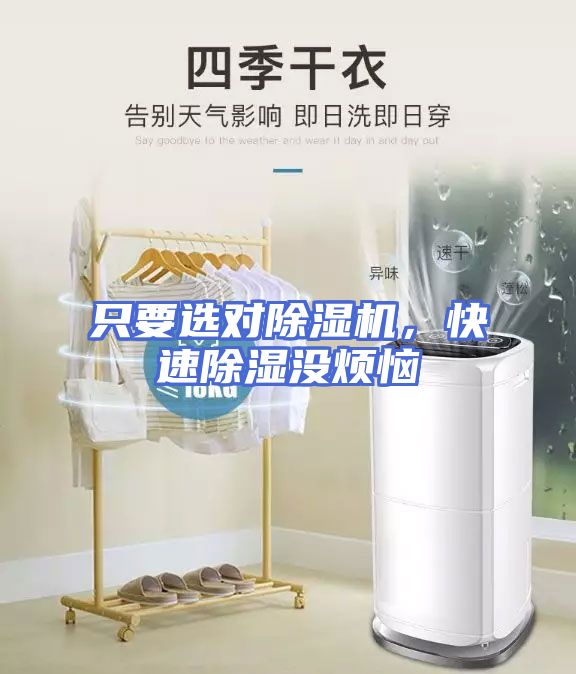 只要选对除湿机，快速除湿没烦恼