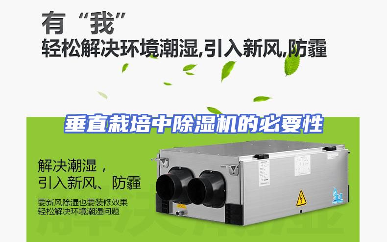 垂直栽培中除湿机的必要性