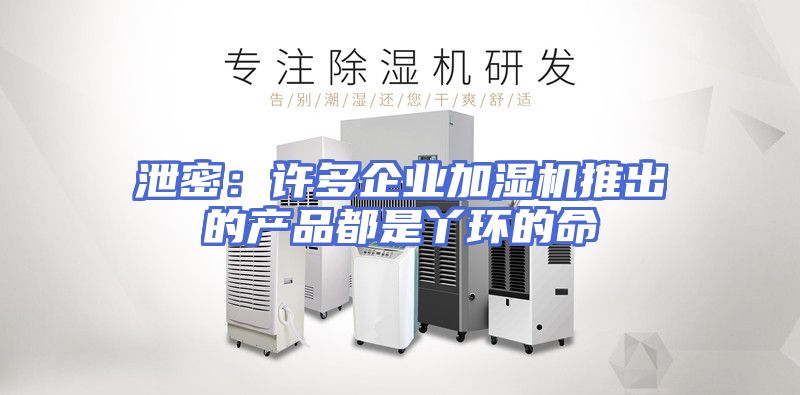 泄密：许多企业加湿机推出的产品都是丫环的命