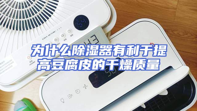 为什么除湿器有利于提高豆腐皮的干燥质量