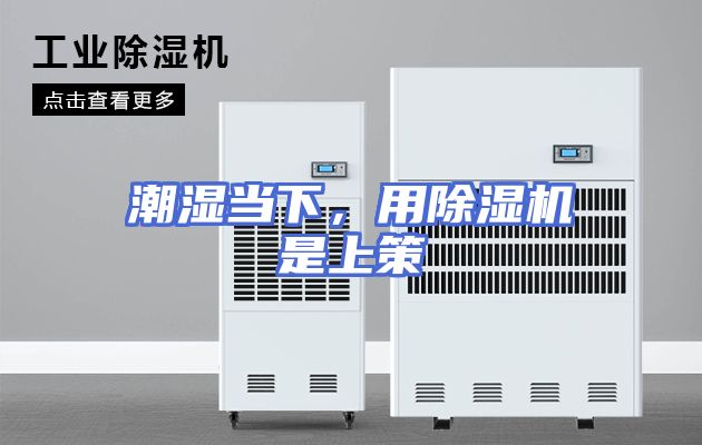 潮湿当下，用除湿机是上策