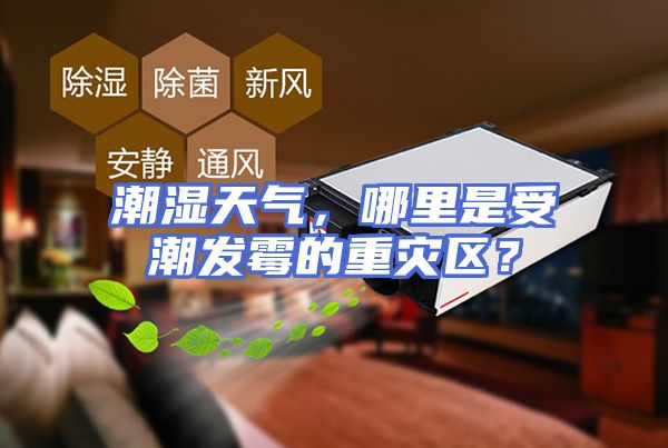 潮湿天气，哪里是受潮发霉的重灾区？