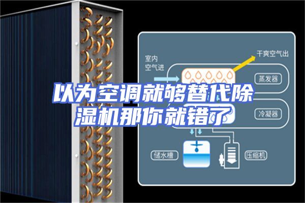以为空调就够替代除湿机那你就错了