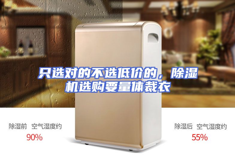 只选对的不选低价的，除湿机选购要量体裁衣