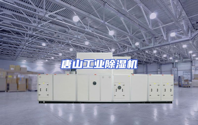 唐山工业除湿机