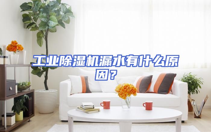 工业除湿机漏水有什么原因？