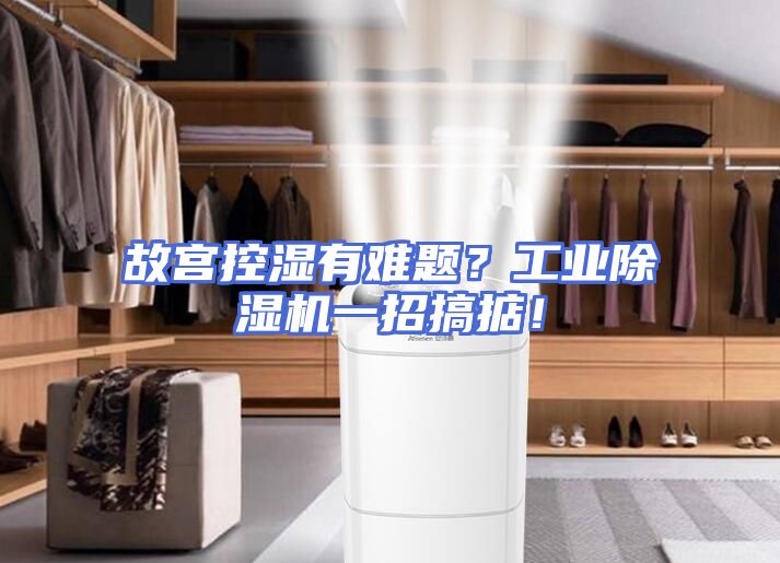 故宫控湿有难题？工业除湿机一招搞掂！