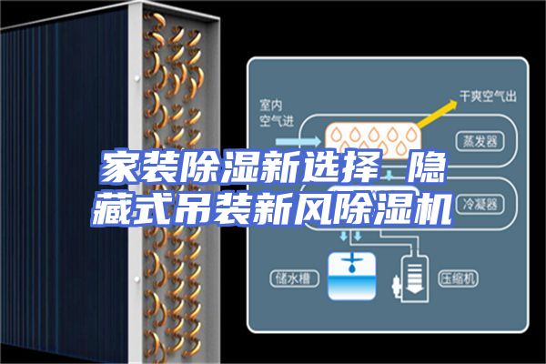 家装除湿新选择 隐藏式吊装新风除湿机