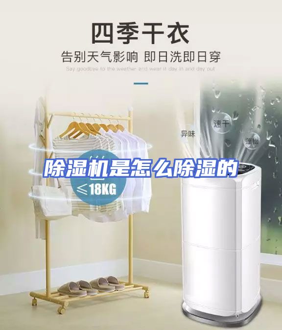 除湿机是怎么除湿的