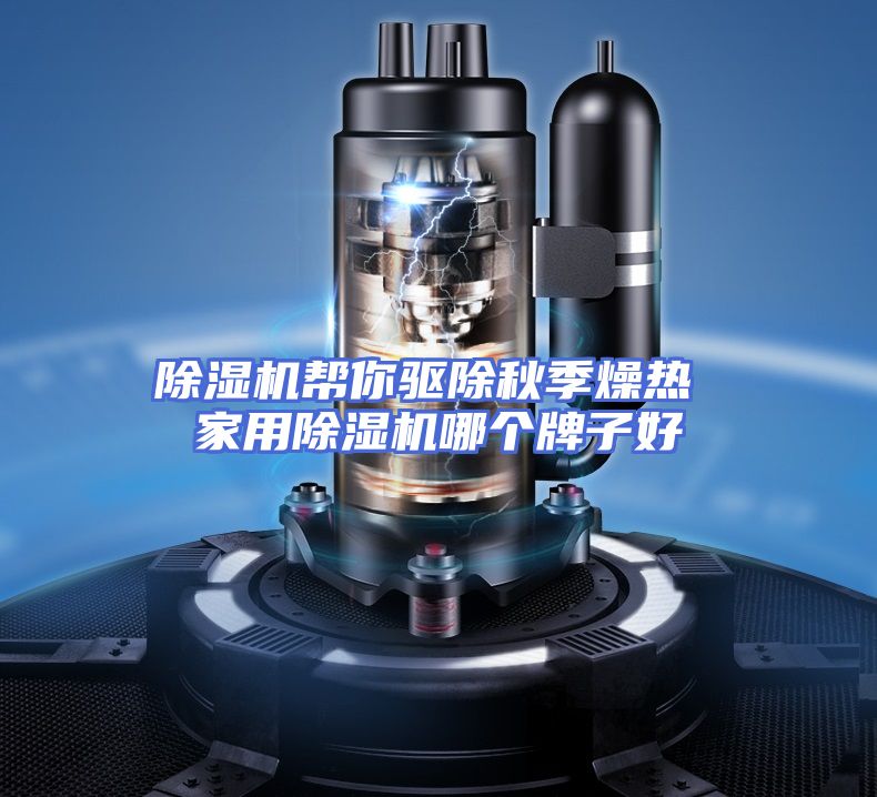 除湿机帮你驱除秋季燥热 家用除湿机哪个牌子好