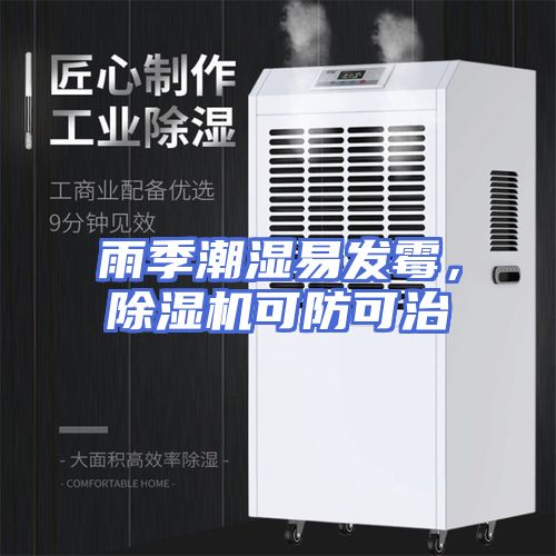 雨季潮湿易发霉，除湿机可防可治
