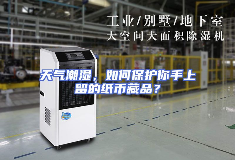 天气潮湿，如何保护你手上留的纸币藏品？