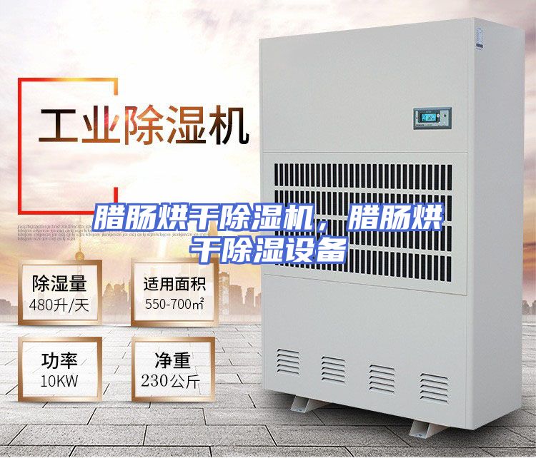 腊肠烘干除湿机，腊肠烘干除湿设备