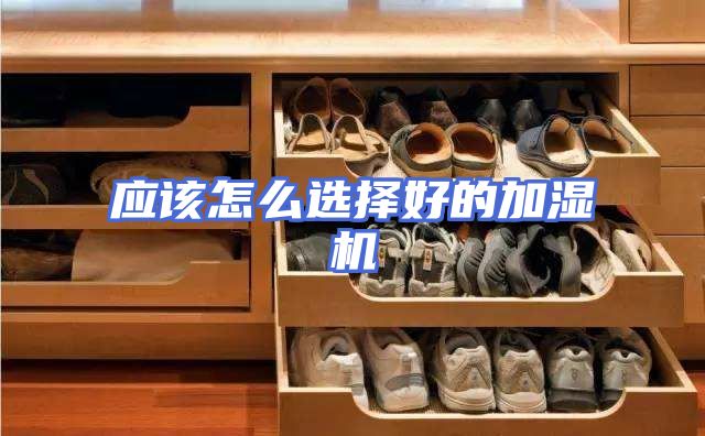 应该怎么选择好的加湿机