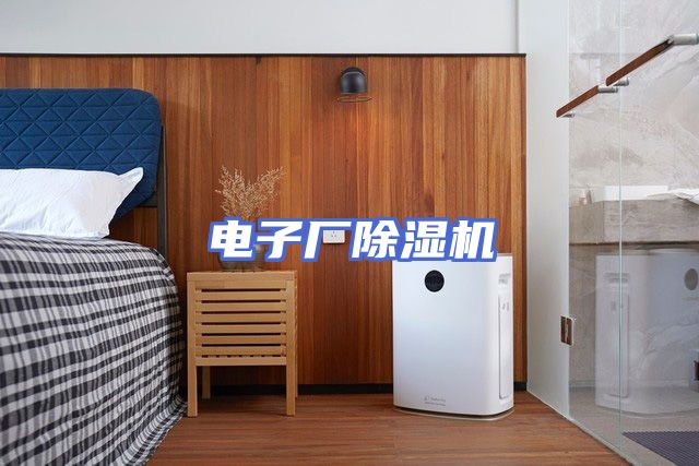 电子厂除湿机