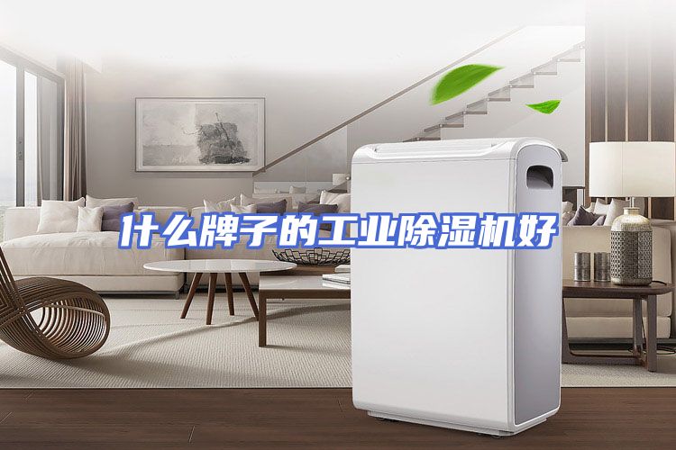 什么牌子的工业除湿机好
