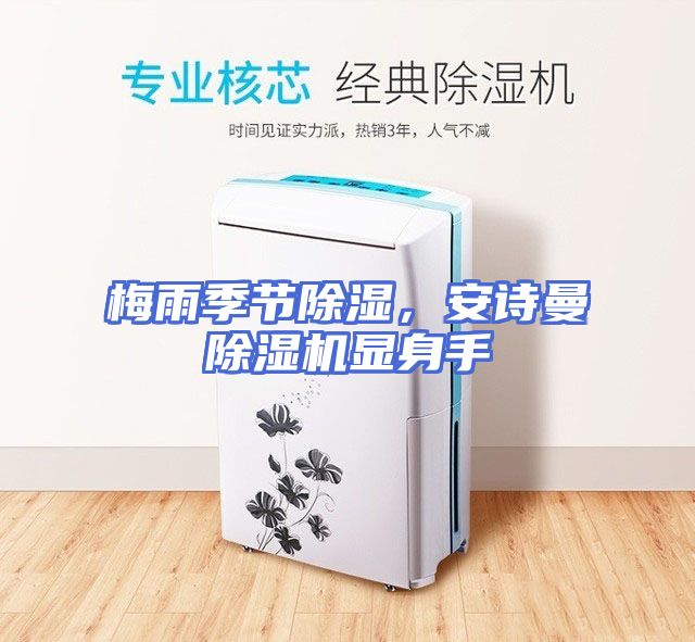 梅雨季节除湿，安诗曼除湿机显身手