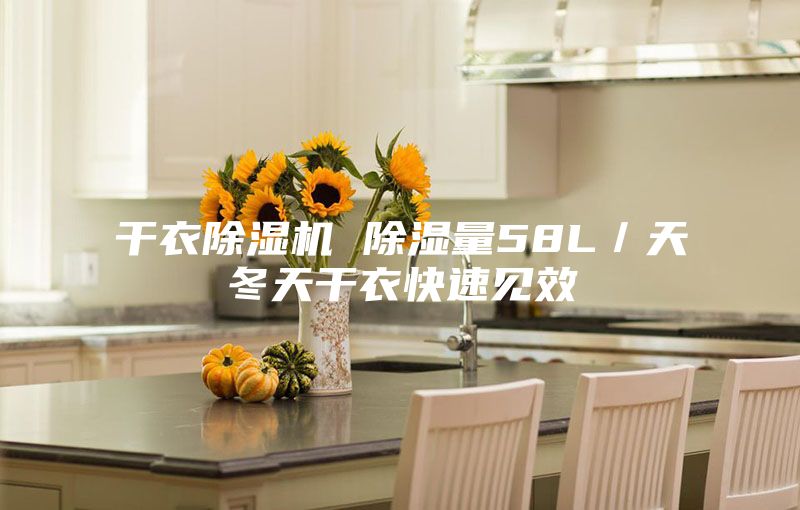 干衣除湿机 除湿量58L/天冬天干衣快速见效