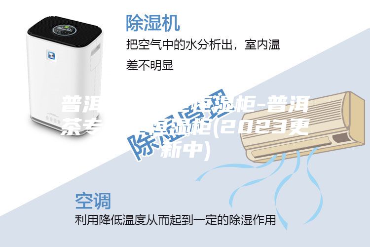 普洱茶专用恒恒湿柜-普洱茶专用恒恒湿柜(2023更新中)